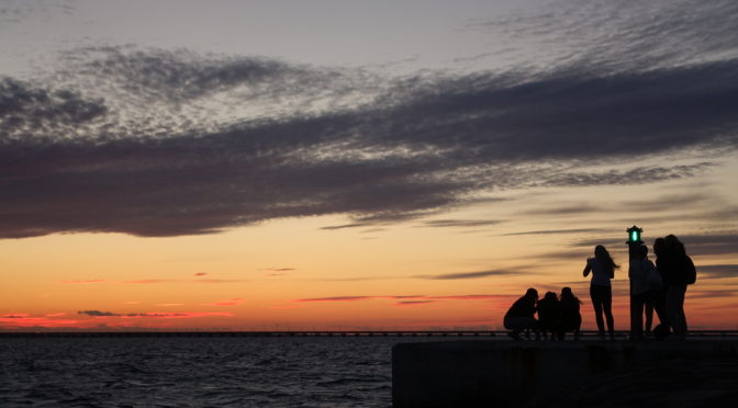 Schweden Öland 07.2016